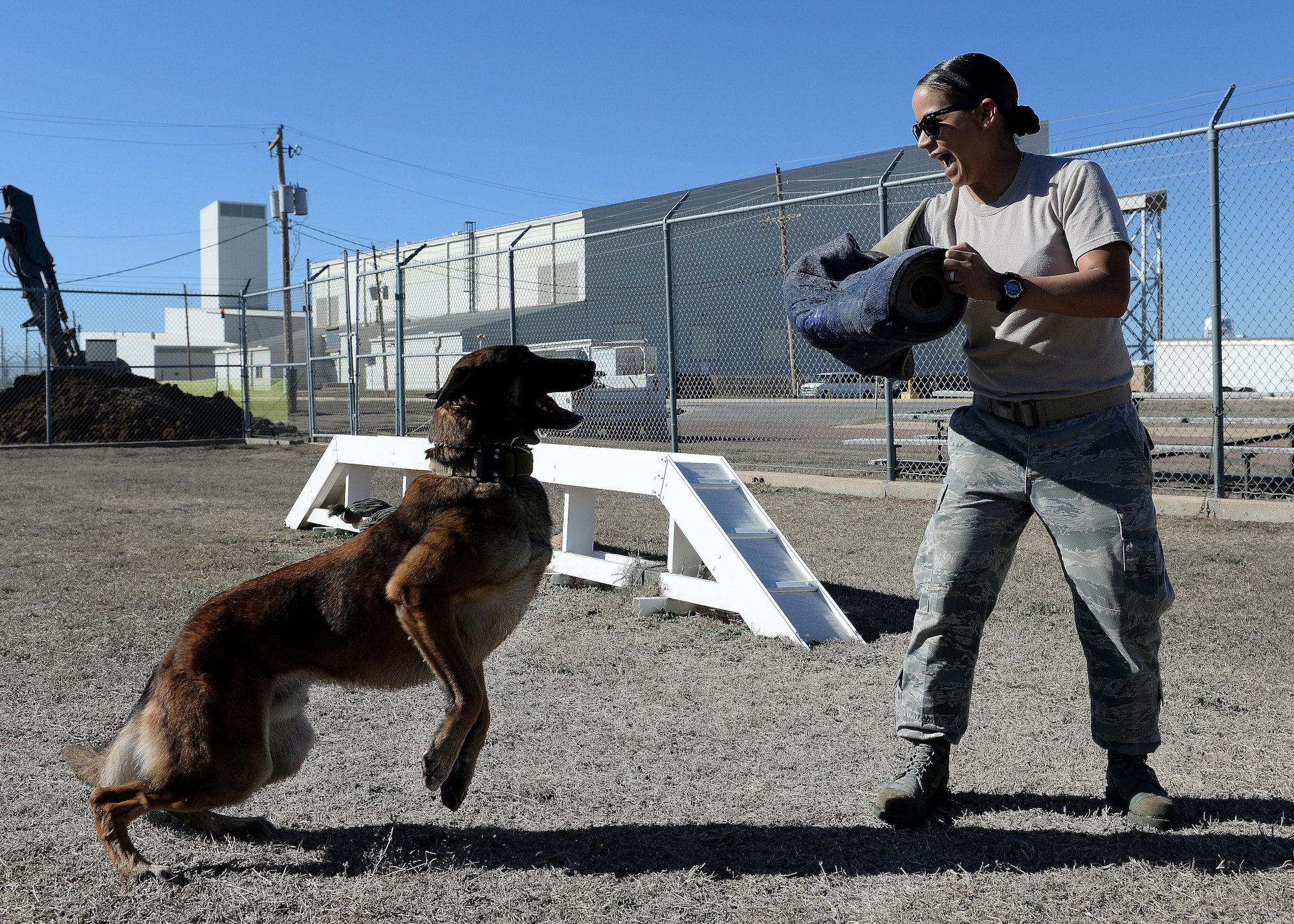 Yyoda, a U.S. Air Force military working dog, lunges at U.S. Air Force Senior Airman Laci Mendez, 97th Security Forces Squadron working dog handler, after being provoked through aggressive body posturing and verbal cues during training at Altus Air Force Base, Oklahoma, Feb. 10, 2015. Military working dogs are trained to attack through the use of verbal commands, but also of their own accord when they perceive a threat. (U.S. Air Force photo by Airman 1st Class Megan E. Acs)