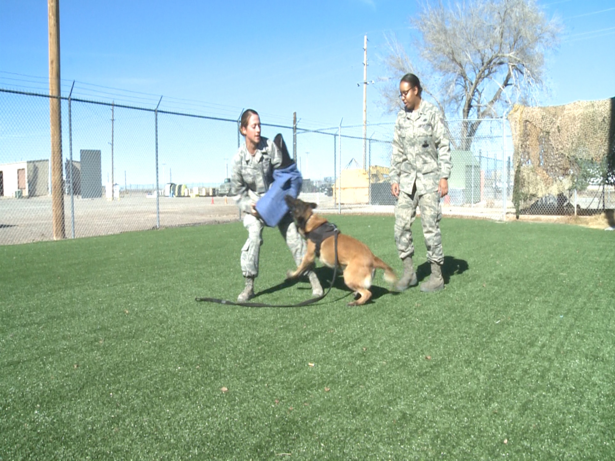 Staff Sgt. Kathryn Stevens, 49th Security Forces Military Working Dog handler, and her Military Working Dog Bruno, train while Staff Sgt. Krystle Draper, 49th Security Forces Military Working Dog handler, ensures their safety at Holloman Air Force Base, N.M., Jan. 22. Training is a constant for MWD and their handlers as they must always be prepared for anything. (U.S. Air Force Photo by Senior Airman Breeann Sachs/Released)