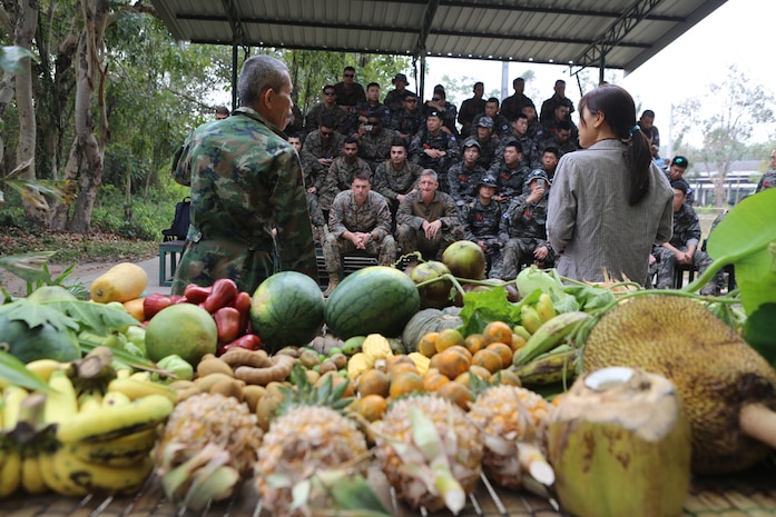SATTAHIP, Thailand (Feb. 12, 2015) - Thai Military Instructors speak to U.S., Thai and Korean Marines during a jungle survival training course Feb. 12, 2015, at Camp Lotawin, Kingdom of Thailand. The course is designed to give the military members necessary skills to survive in the jungle and brings the three groups together to foster friendships. 