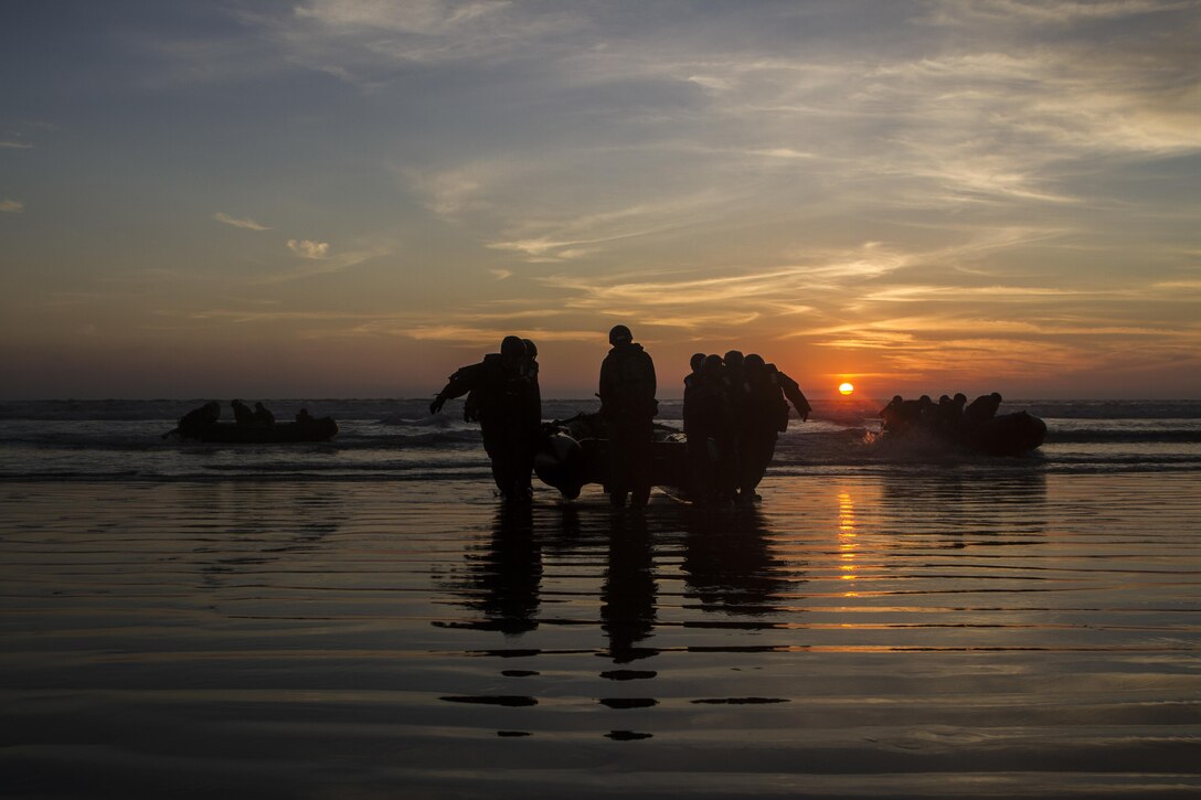 Marines with 1st Reconnaissance Battalion, 1st Marine Division, and members of the Japan Ground Self-Defense Force conduct amphibious raids and military operations on urban terrain aboard Marine Corps Base Camp Pendleton, Calif., Feb. 3, 2015, during Exercise Iron Fist. Exercise Iron Fist is an annual bilateral training exercise between U.S. and Japanese military forces that builds their combined ability to conduct amphibious and land-based contingency operations.