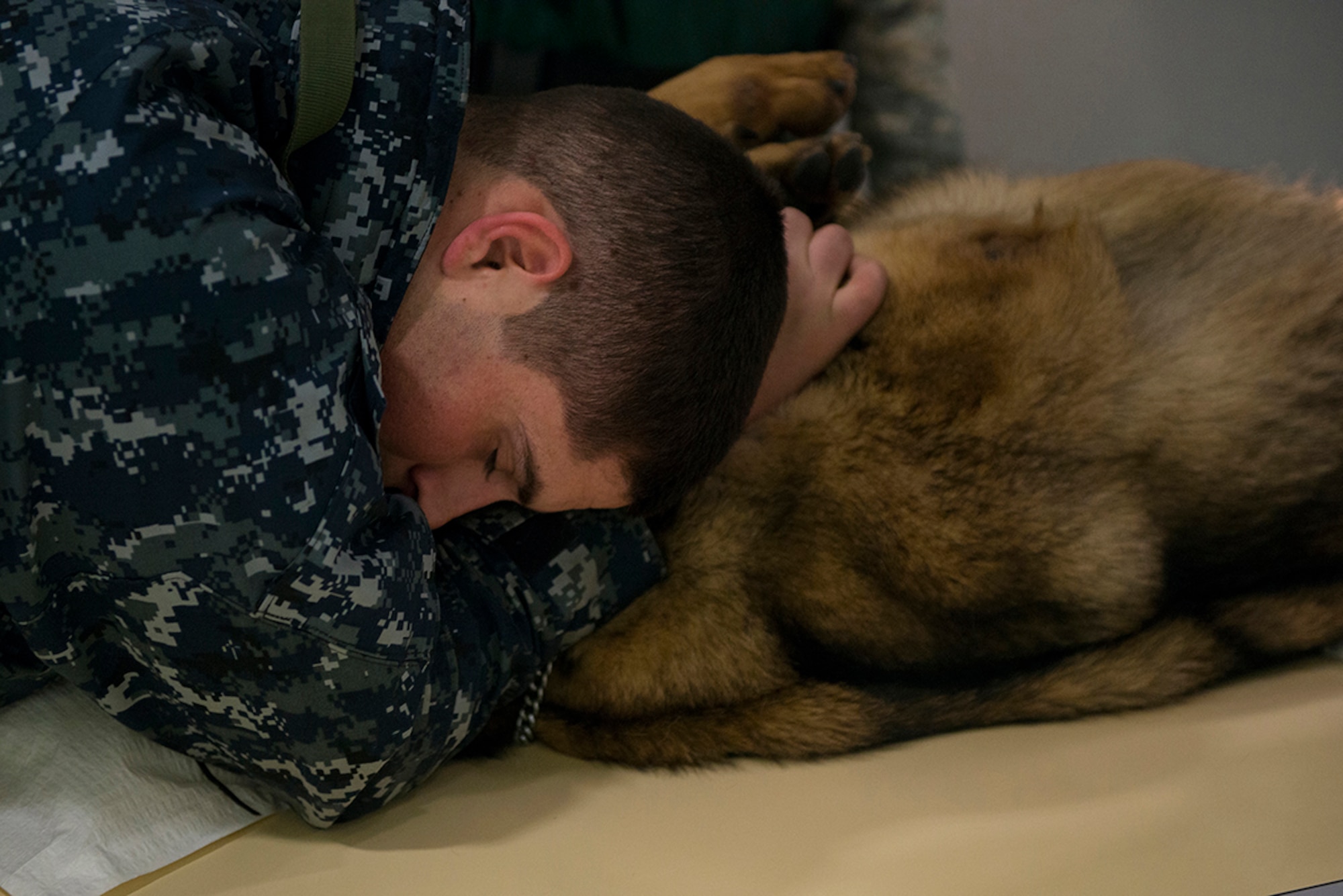 Navy Petty Officer 2nd Class Stefan Molinaro, Naval Weapon Station Earle Master at Arms, hugs Brix, a military working dog, to calm him while he gets X-rays at the radiology clinic on Joint Base McGuire-Dix-Lakehurst, New Jersey, Feb. 9, 2015. Brix is getting X-rays due to a condition called chronic lameness, one of the most common reasons military working dogs are retired. (U.S. Air Force photo by Joshua D. King/Released)