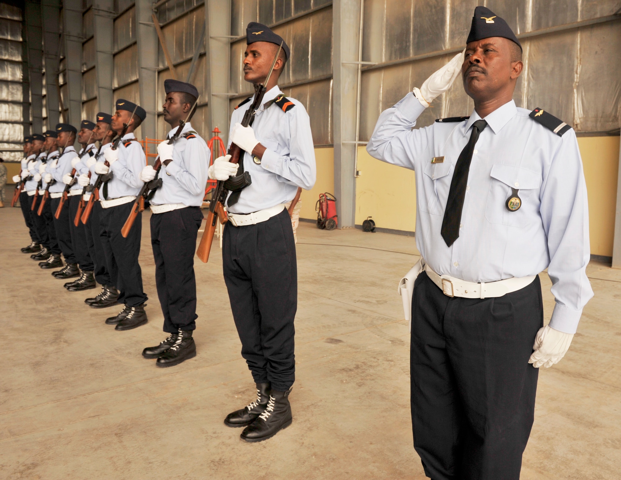 Members of the Djibouti air force honor guard render a salute during the closing ceremony for African Partnership Flight???Djibouti at Djibouti Air Base, Feb. 11, 2015.  African Partnership Flight is the premiere program to bring together partner nations to increase cooperation and interoperability, which fosters stability and security throughout the continent. (U.S. Air Force Photo by Tech. Sgt. Ian Dean)