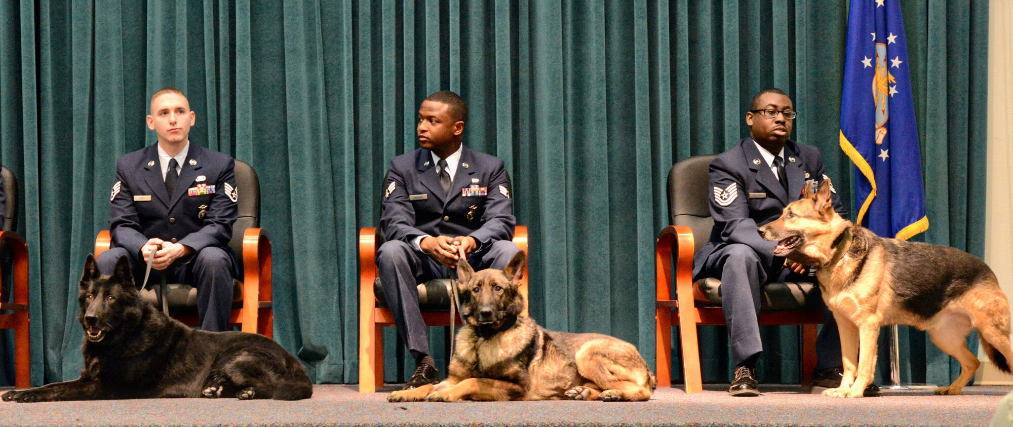 Tinker Air Force Base retired three of its own last week in a small, somber ceremony at Fannin Hall. Military Working Dogs Buli, Jacky and Rex were formally retired by 72nd Security Forces Squadron Operations Officer Capt. Daniel Land, who presented their service medals and handed them over to their new owners. From left, Staff Sgt. Seth Kenny with Buli; Senior Airman Nicholas Simmons with Jacky and Tech. Sgt. Tim Barksdale with Rex. (Air Force photo by Kelly White)