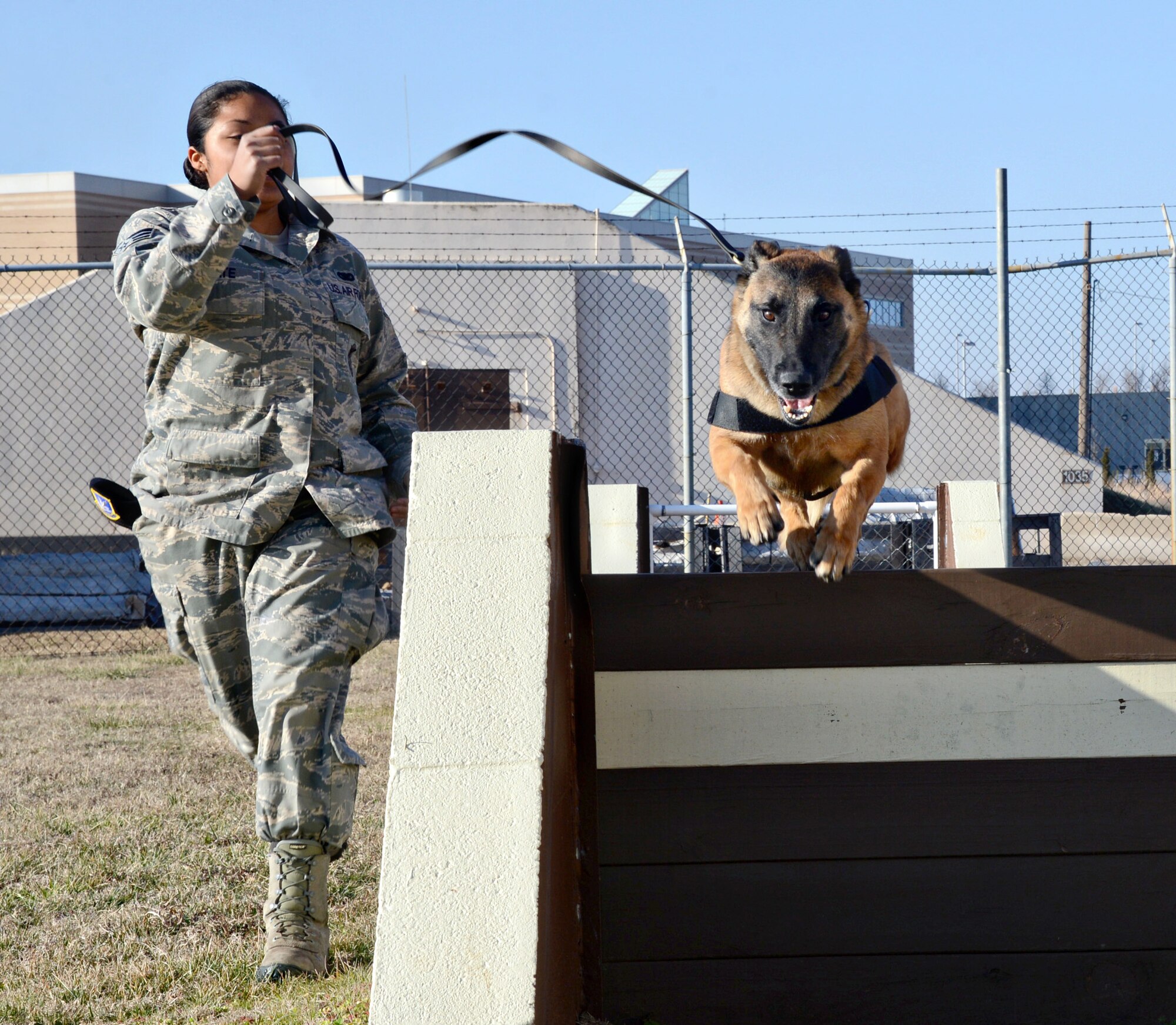 A new member of the canine corps recently joined the 72nd Security Forces Squadron. Three-year-old Military Working Dog Ria and her handler, Senior Airman Michele Tate, will be training and working hard to help secure Tinker Air Force Base. (Air Force photo by Kelly White)