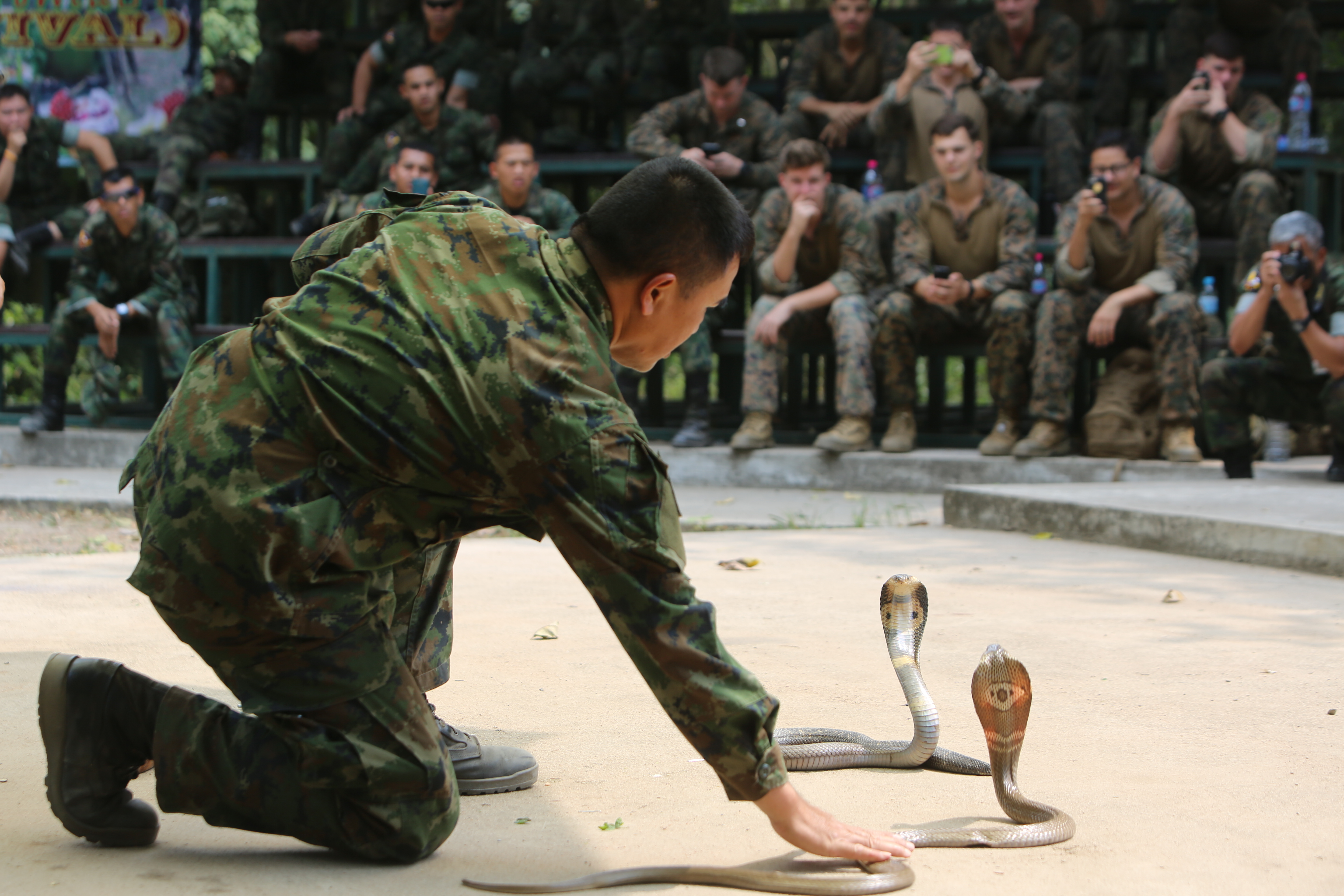 A Thai military instructor, known as the "Snake Man,” demonstrates how