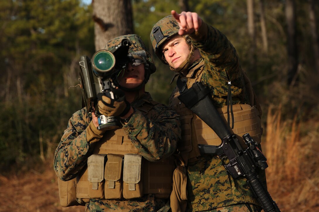 Cpl. Justin M. Goodchild, right, assists Pfc. Luis A. Chavez with locating a simulated enemy target during ground-based air defense training at Marine Corps Outlying Field Atlantic, N.C., Feb. 3, 2015. Both Goodchild and Chavez are low altitude air defense gunners with Alpha Battery, 2nd Low Altitude Air Defense Battalion at Marine Corps Air Station Cherry Point, N.C. Goodchild is a native of Longwood, Fla., and Chavez is a native of Beaumont, Calif.