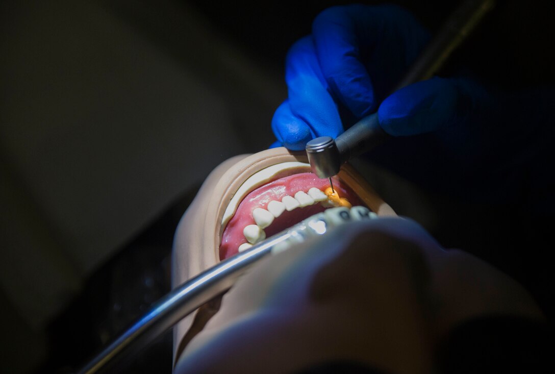 Field dental exercise 3rd Dental Battalion prepares for oral emergencies