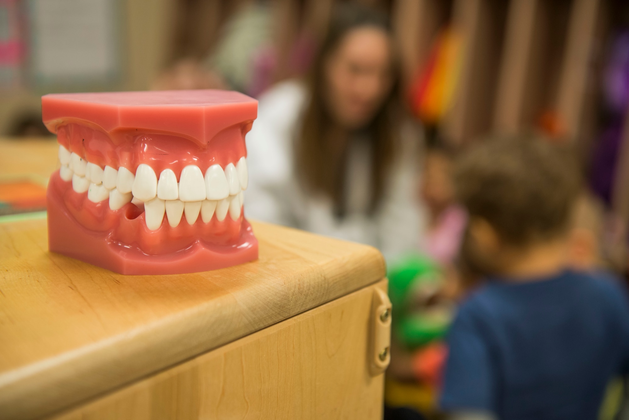 A teeth display rests during a tooth care demonstration at the Child Development Center Feb. 10, 2015, at Moody Air Force Base, Ga. For Children’s Dental Health Month, the dental clinic will visit multiple schools this month to educate children on proper oral hygiene. (U.S. Air Force photo by Airman 1st Class Dillian Bamman/Released)