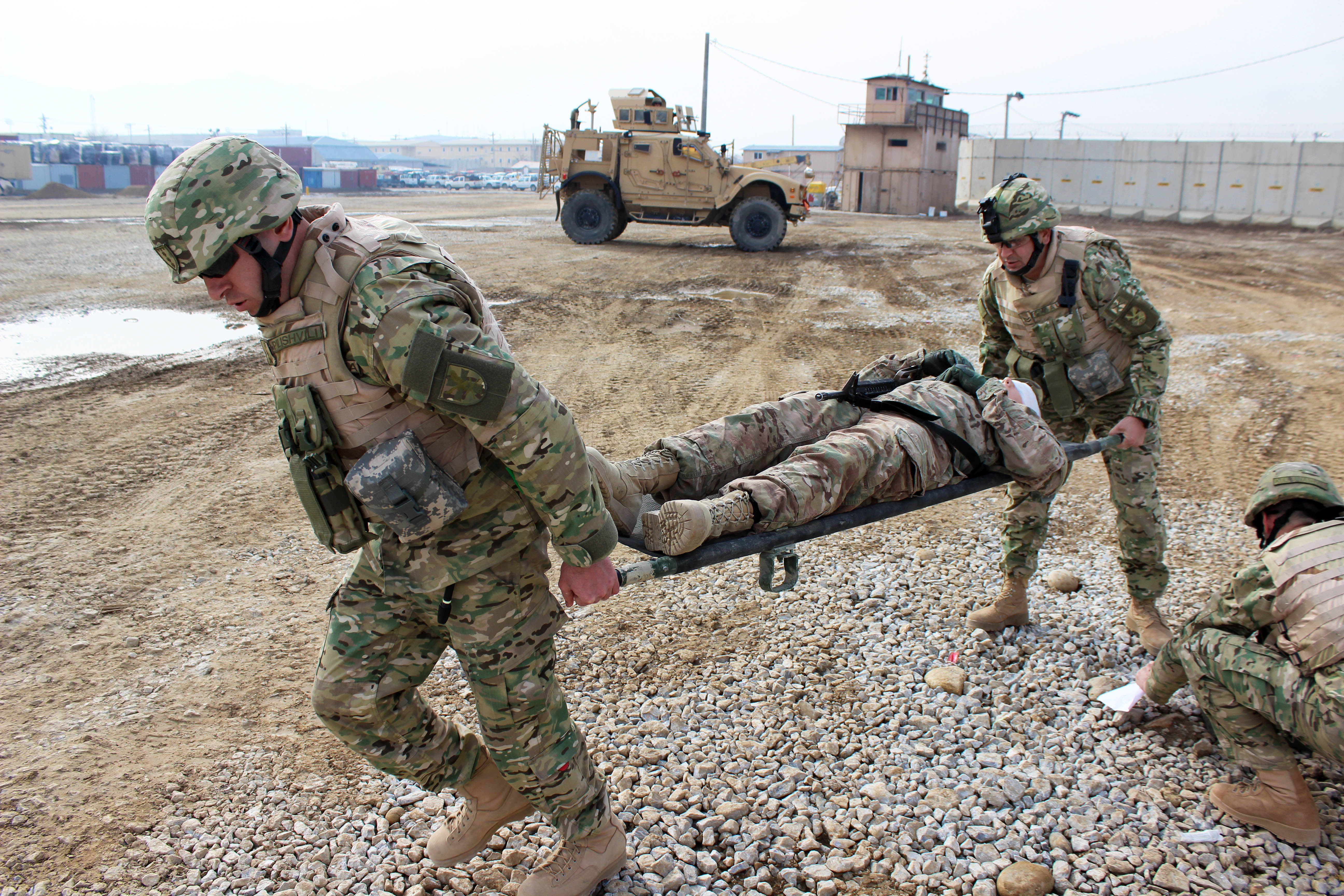 Stretcher carry deals