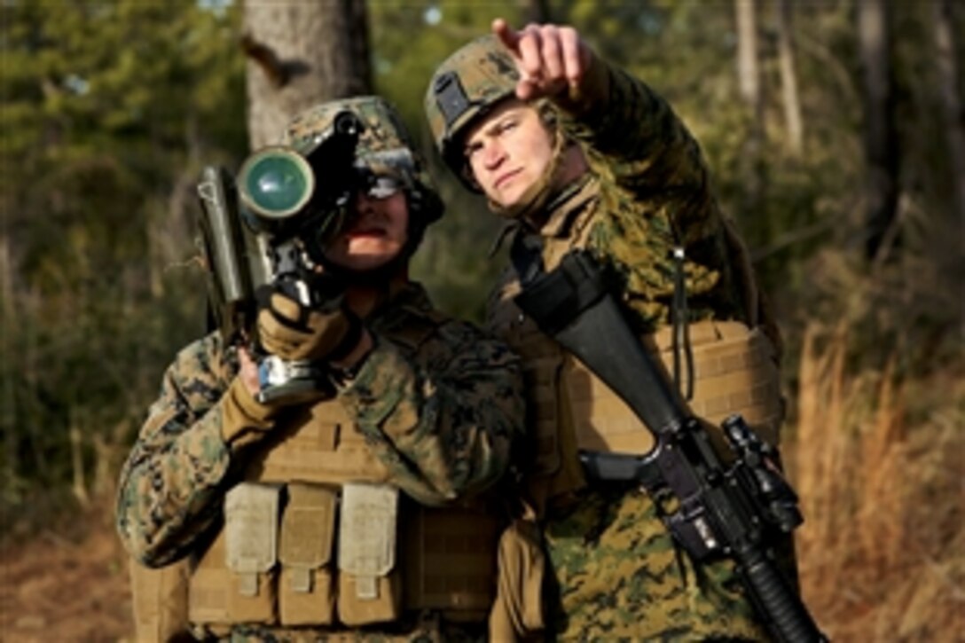 Marine Corps Cpl. Justin M. Goodchild, right, assists Pfc. Luis A. Chavez with locating a simulated enemy target during ground-based air defense training on Marine Corps Outlying Field Atlantic, N.C., Feb. 3, 2015. Goodchild and Chavez are low-altitude air defense gunners assigned to 2nd Low Altitude Air Defense Battalion.