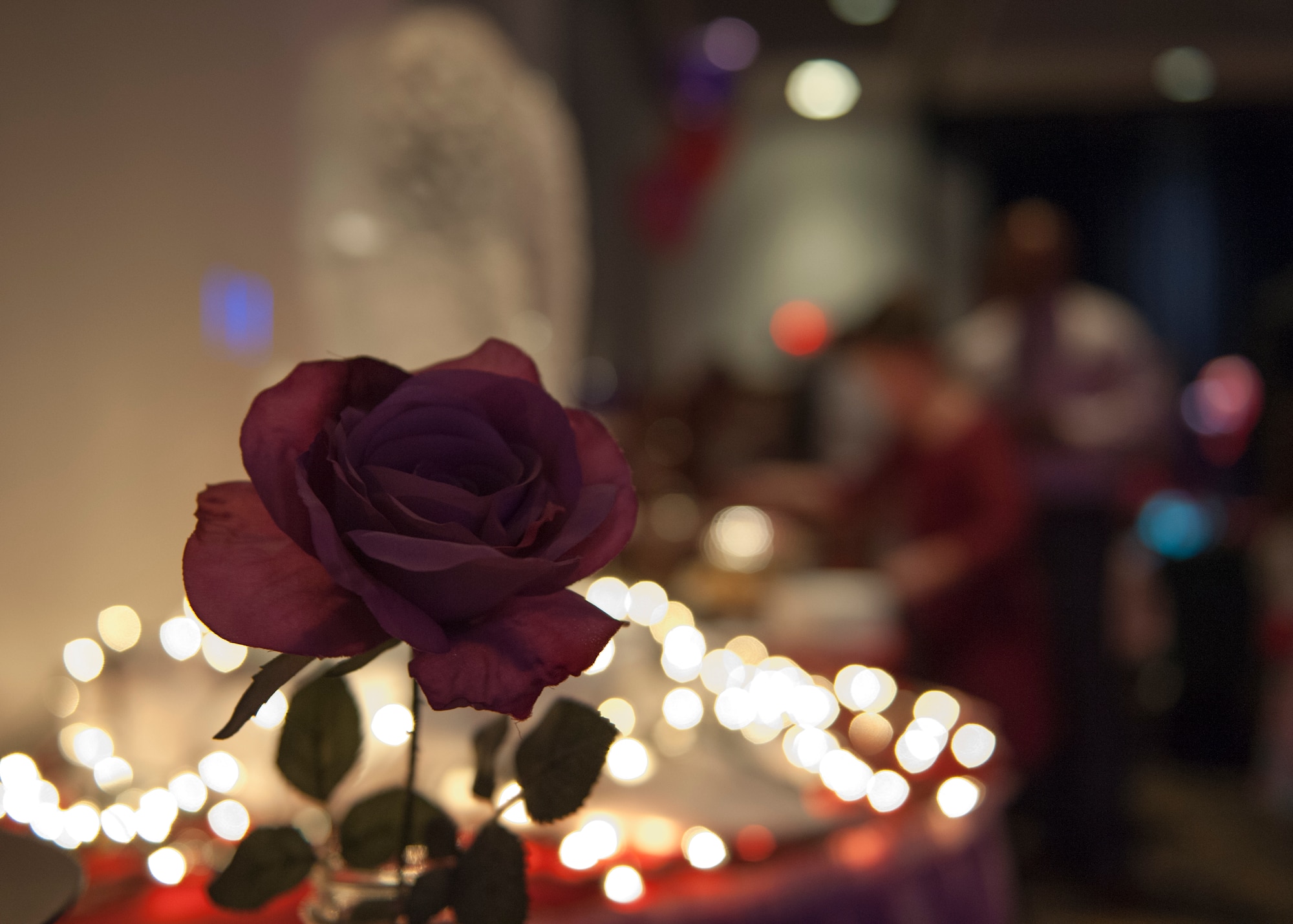 A rose sits on display during a Daddy Daughter Dance Feb. 13, 2015, at the Landings Club on Dover Air Force Base, Del. This event took place the day before Valentine’s Day. (U.S. Air Force photo/Airman 1st Class Zachary Cacicia) 