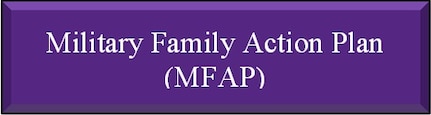 Military Family Action Plan 
