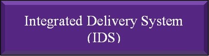 IDS (Integrated Delivery System)