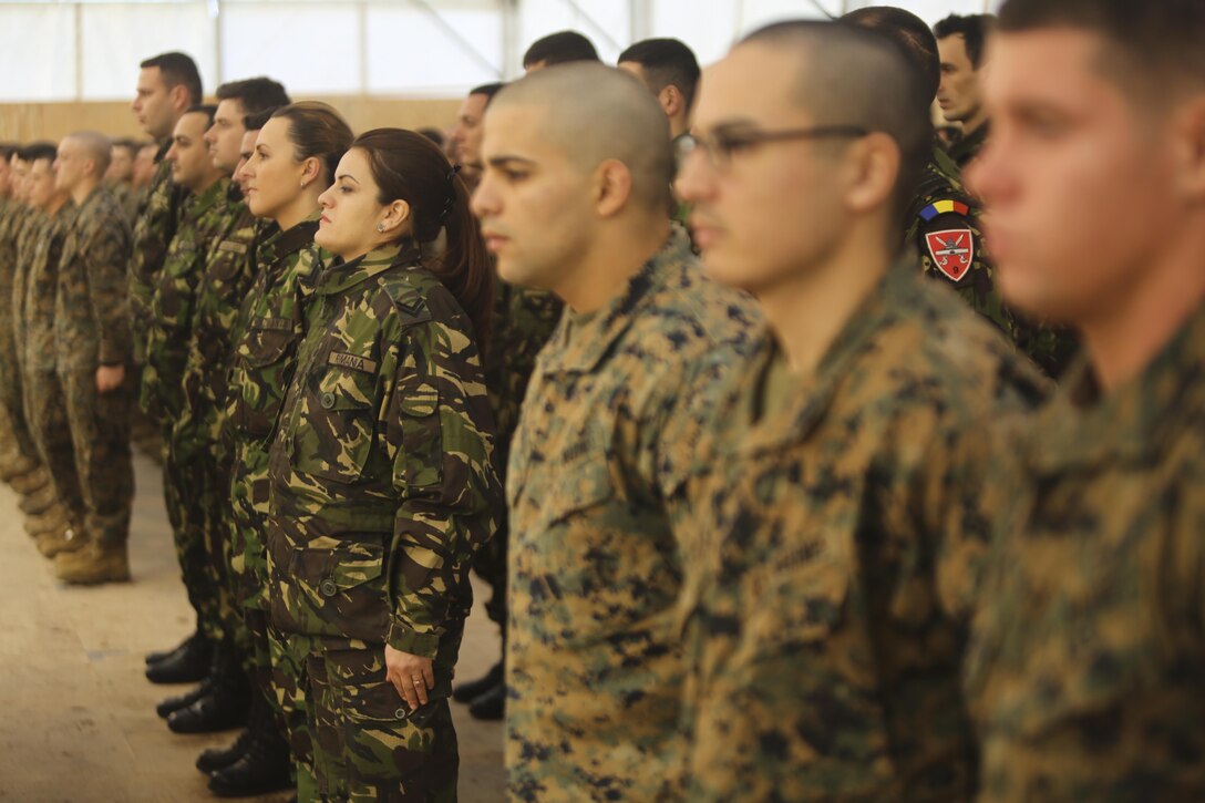 U.S. Marines with 2nd Battalion, 8th Marine Regiment stand in formation with Romanian military members during a transfer of authority ceremony at Mihail Kogalniceanu, Romania, Feb. 9, 2015. The battalion’s Marines assumed responsibility for the next rotation of BSRF and will spend the next several months training with partner nations in the area. (U.S. Marine Corps photo by Sgt. S. T. Stewart)