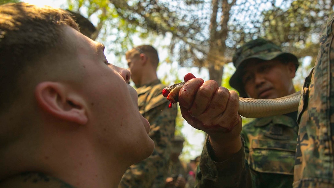 Lance Cpl. Dakota Woodward, from Brandon, Florida, drinks cobra blood Feb. 8 during exercise Cobra Gold 2015. The Royal Thai Marines showed U.S. Marines various jungle survival methods. Drinking snake blood is used as a last resort in case there is nothing else to drink. Woodward is a distribution management specialist with Combat Logistics Regiment 35, 3rd Marine Logistics Group, III Marine Expeditionary Force. 