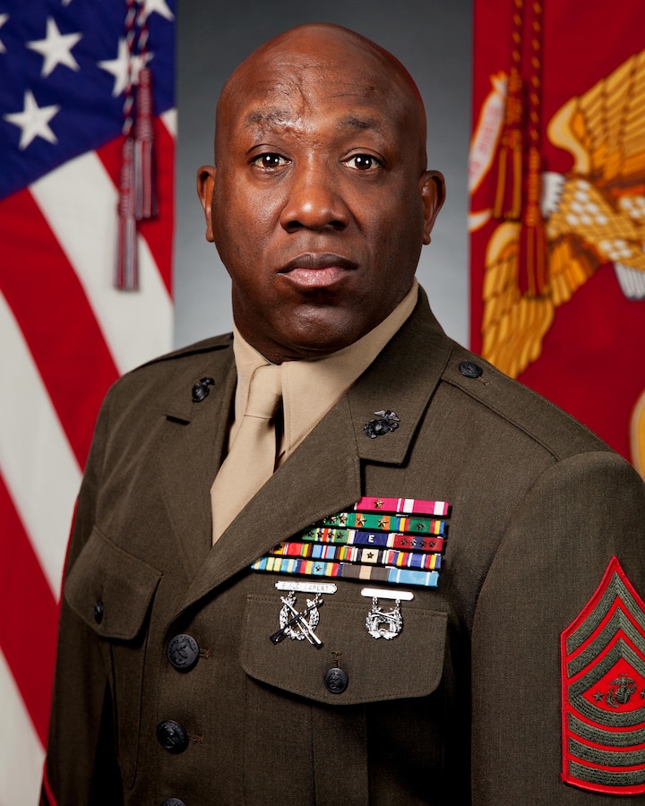 U.S. Marine Corps Sgt. Maj. Ronald L. Green poses for his official portrait as Sgt. Maj. of the Marine Corps at the Pentagon, Arlington Va., Jan. 26, 2015.