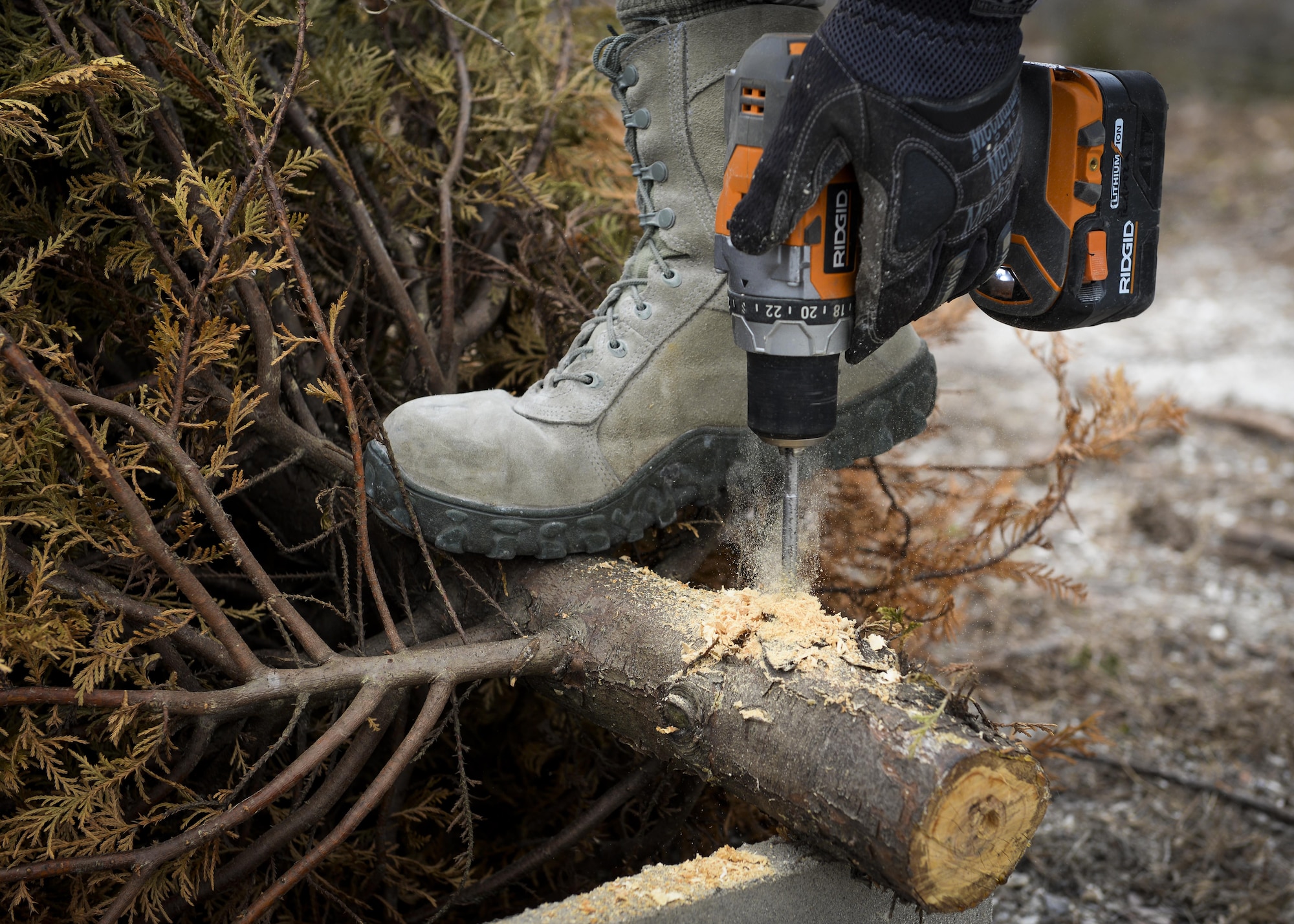 Senior Airman Raul Pedroza, 1st Special Operations Civil Engineer Squadron structural apprentice, drills through the base of a Christmas tree at Hurlburt Field, Fla., Feb. 3, 2015. To preserve natural resources on Hurlburt, the recycled Christmas trees create a place for fish to gather, forage and avoid predation from larger fish in Gator Lake. (U.S. Air Force photo by Senior Airman Meagan Schutter/Released)