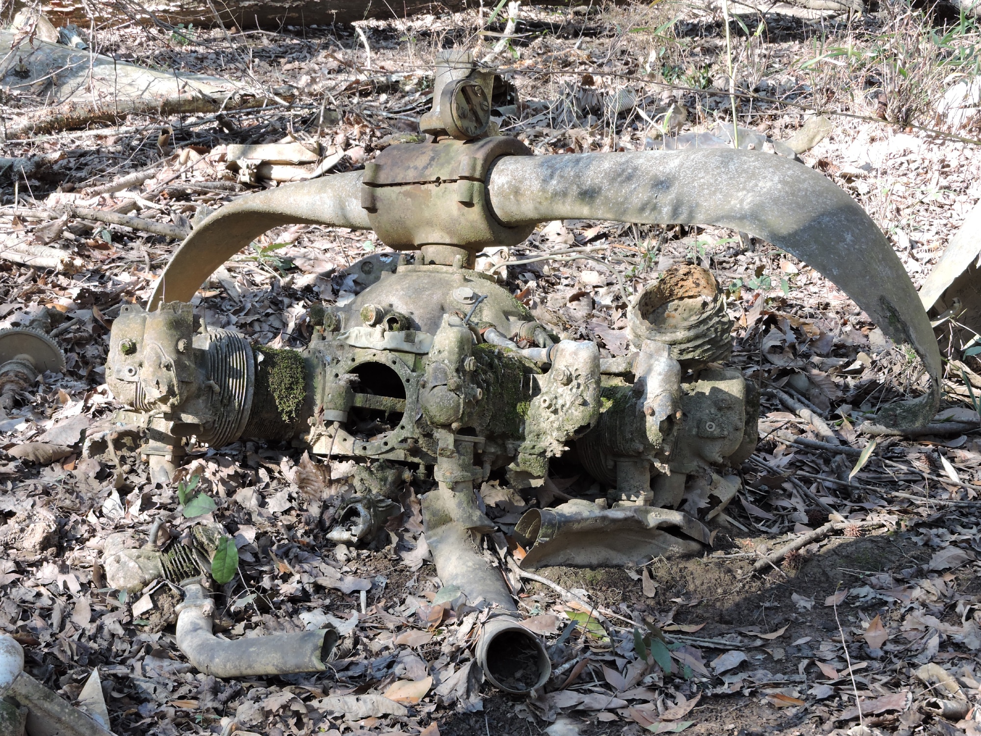 A piece of the engine attached to one of the propellers still lies in the swamp, Feb 11, 2015.(U.S. Air Force photo by Roland Leach)