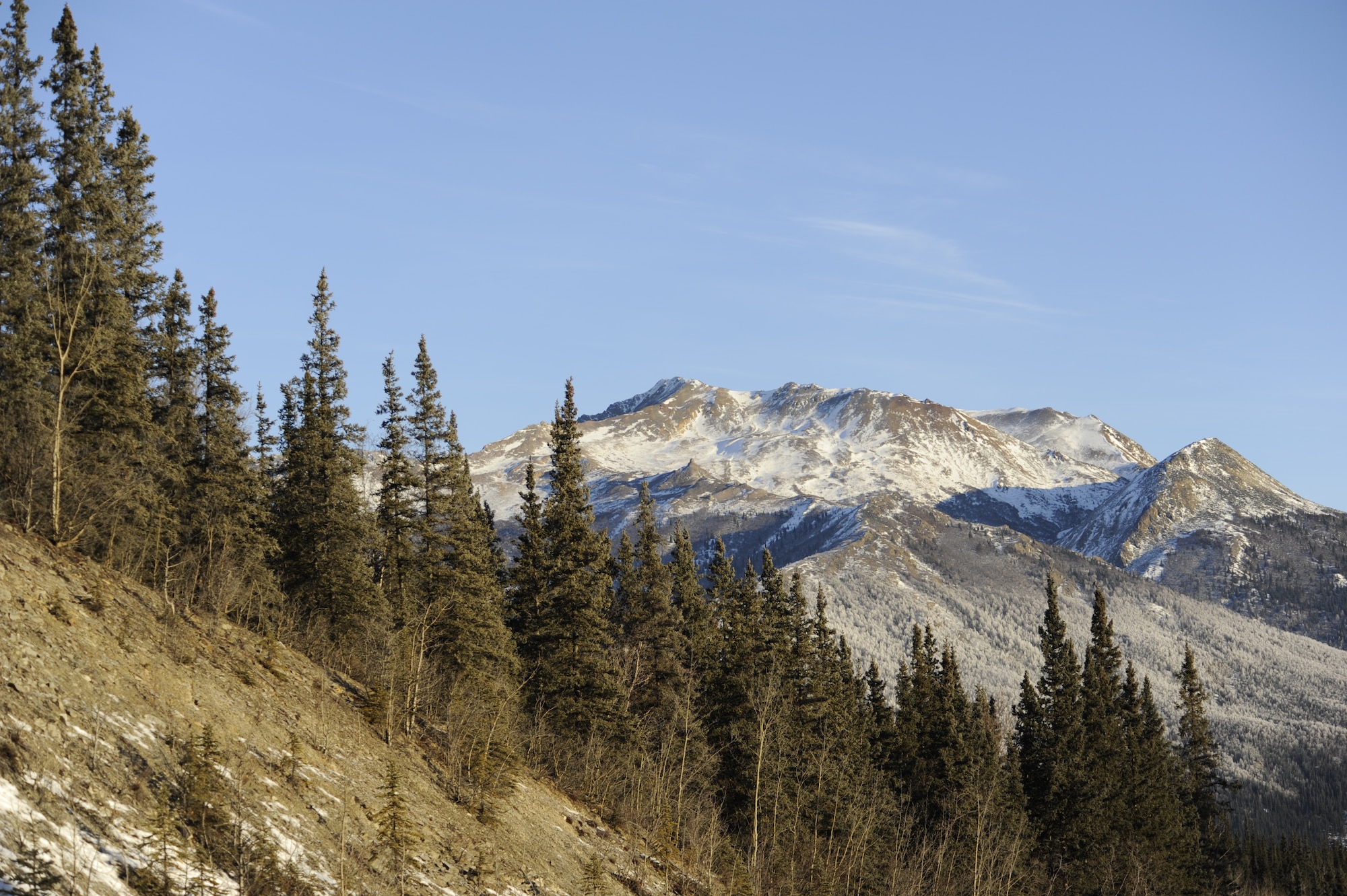 A mountain sits behind a foreground of evergreens in Denali National Park, Alaska, Jan. 19, 2015. Denali National Park is one of 23 national parks in Alaska and is home to Mount McKinley, the highest peak in North America. (U.S. Air Force photo by 1st Lt. Elias Zani/Released)