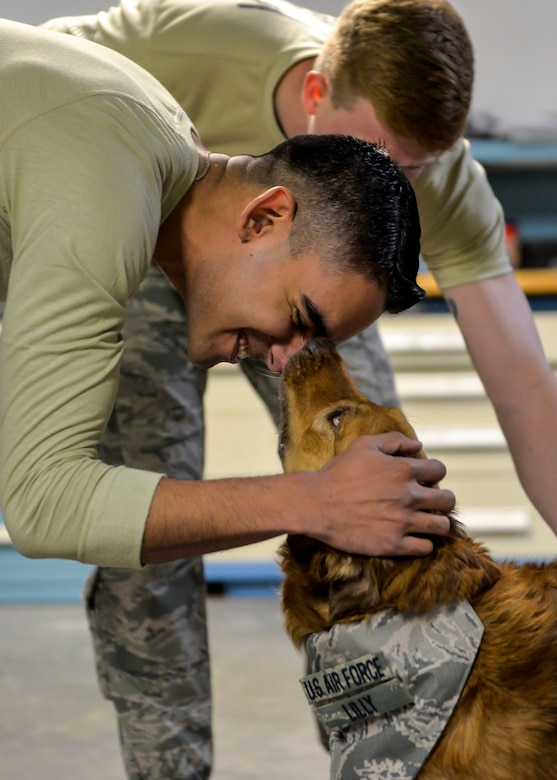 Airman 1st Class Arnoldo Acuna pets Lilly, an 8-year-old Australian Shepard and therapy dog, Feb. 25, 2015 at the 628th Civil Engineer Squadron Explosive Ordnance Disposal shop on Joint Base Charleston, S.C. Lilly is part of the 628th Medical Operations Squadron therapy dog program, which reaches out to military members by contributing to their well-being, boosting moral and promoting Mental Health Clinic services. (U.S. Air Force photo/Senior Airman Jared Trimarchi) 