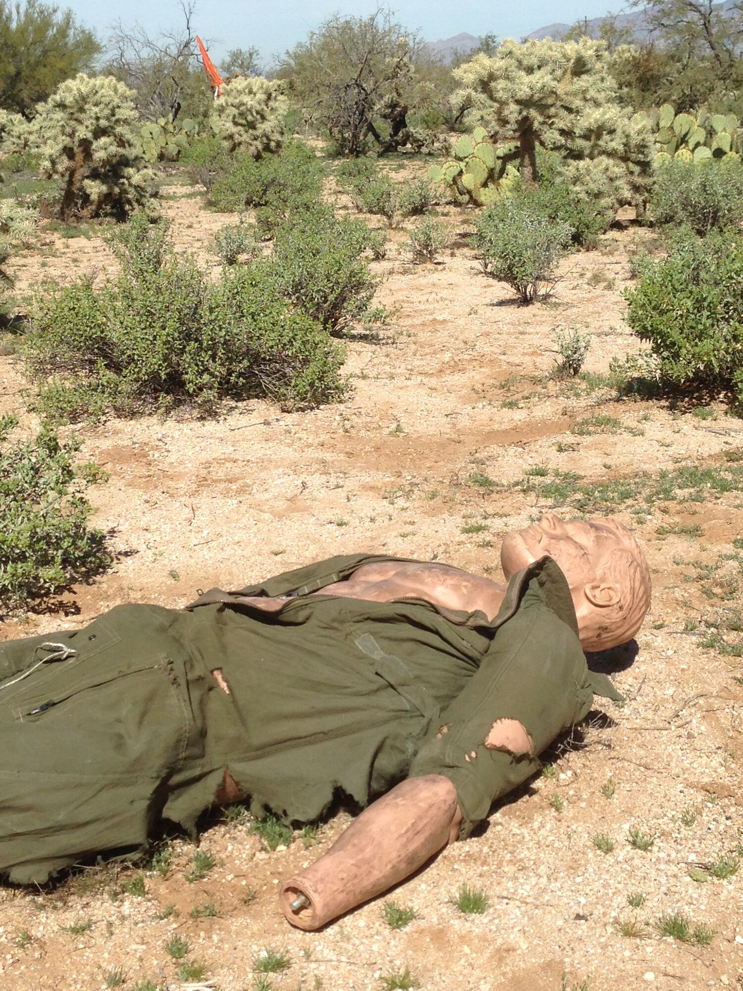 A mannequin representing an aircraft pilot lies in a cactus field during an aircraft crash exercise at Davis-Monthan Air Force Base, Ariz., Feb. 19, 2015. D-M emergency responders were expected to locate, secure and recover simulated casualties and other pertinent objects during the exercise. (U.S. Air Force photo by Airman 1st Class Chris Drzazgowski/Released)