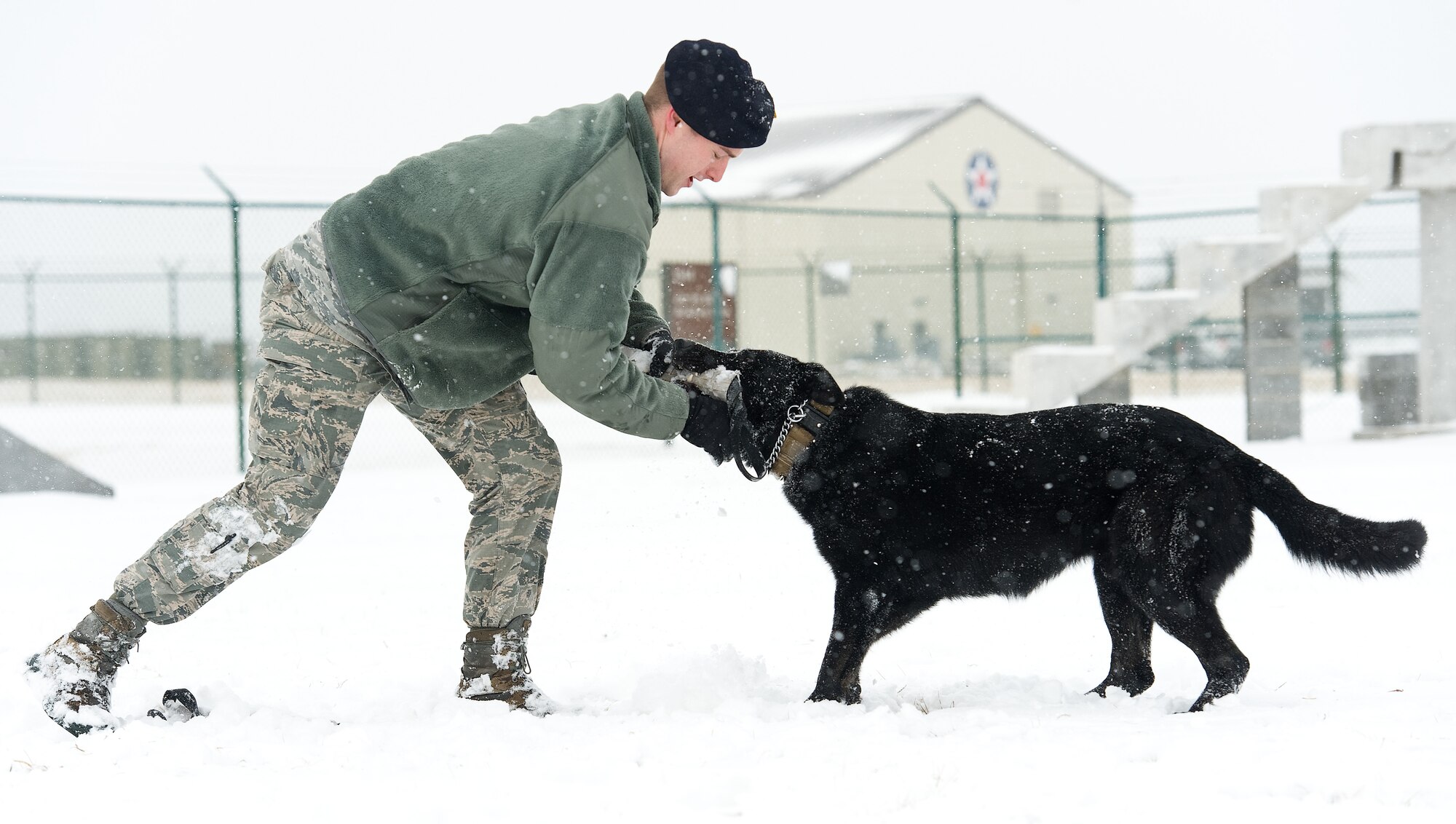 Staff Sgt. Craig Eveland, 436th Security Forces Squadron military working dog handler, tries to pull a jute tug from MWD Vito Feb. 26, 2015, on Dover Air Force Base, Del. Vito, a German Shepherd chased and retrieved the jute tug in the MWD training area for approximately 15 minutes. (U.S. Air Force photo/Roland Balik)