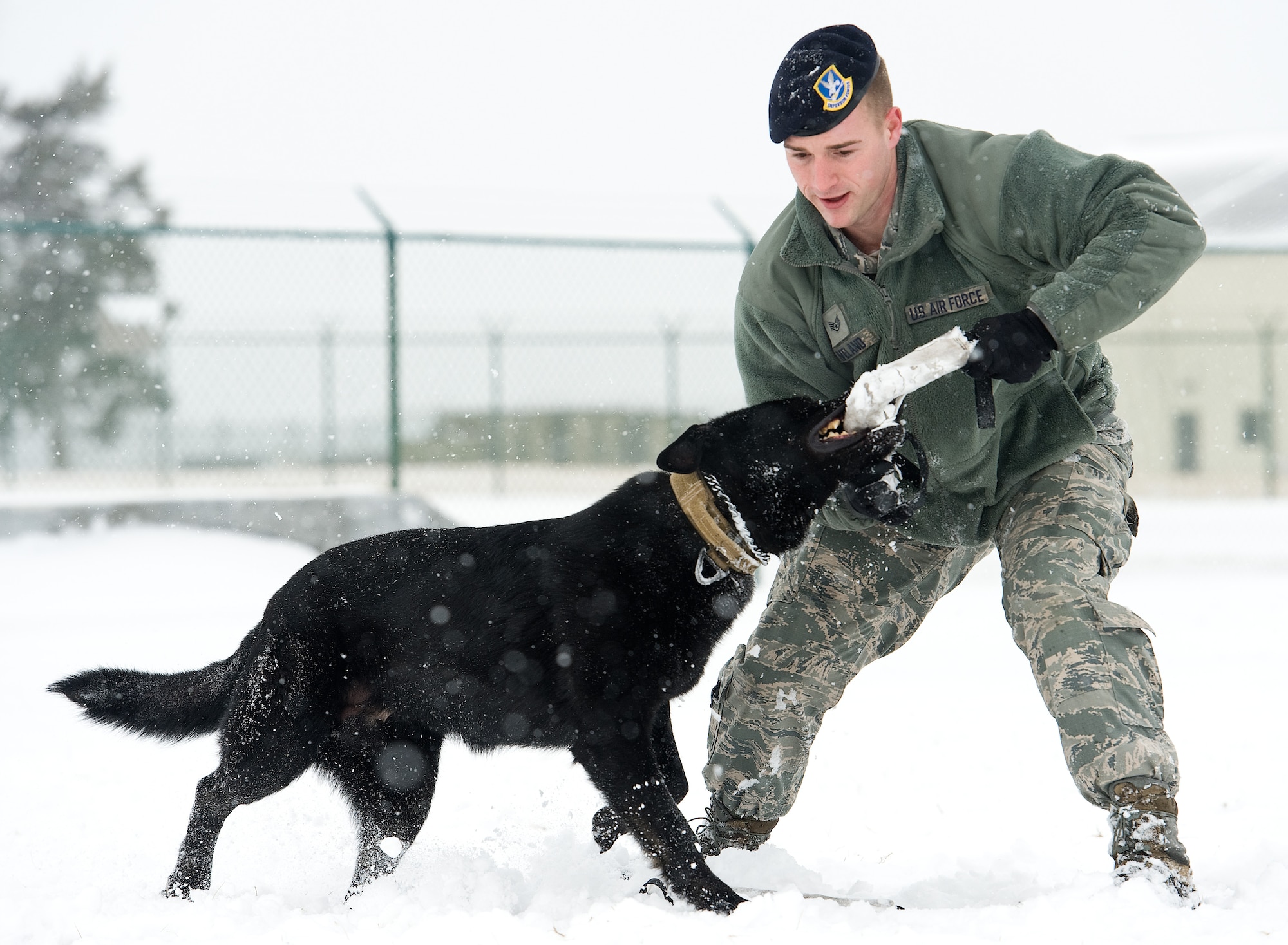 Staff Sgt. Craig Eveland, 436th Security Forces Squadron military working dog handler, gives MWD Vito the command to release  a jute tug Feb. 26, 2015, on Dover Air Force Base, Del. Vito chased and retrieved the jute tug in the MWD training area. (U.S. Air Force photo/Roland Balik)