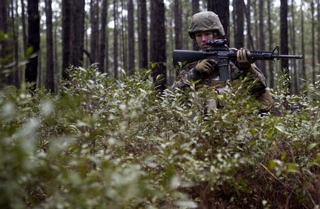 Lance Cpl. Kris Latourette, a combat engineer with 8th Engineer Support Battalion, fights through high bushes during a patrolling exercise aboard Marine Corps Base Camp Lejeune, N.C., Feb. 26, 2015. The patrolling exercise gave the unit a sense of their proficiency level and how it can be improved in the future.