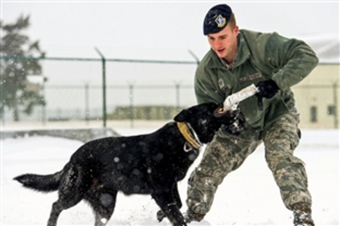 Air Force Staff Sgt. Craig Eveland gives a military working dog the command to release on Dover Air Force Base, Del., Feb. 26, 2015. Eveland is a military working dog handler assigned to the 436th Security Forces Squadron.