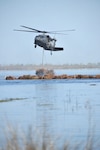 Louisiana National Guard UH-60 Blackhawks of the 1st Battalion, 244th
Aviation Regiment drop Christmas trees into the Bayou Sauvage National
Wildlife Refuge to help rebuild the wetlands on March 30, 2010. The
Christmas trees help to rebuild the missing wetlands that have been washed away over time by breaking waves and collecting silt for new vegetation to take root.