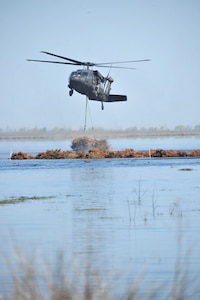 Louisiana National Guard UH-60 Blackhawks of the 1st Battalion, 244th
Aviation Regiment drop Christmas trees into the Bayou Sauvage National
Wildlife Refuge to help rebuild the wetlands on March 30, 2010. The
Christmas trees help to rebuild the missing wetlands that have been washed away over time by breaking waves and collecting silt for new vegetation to take root.