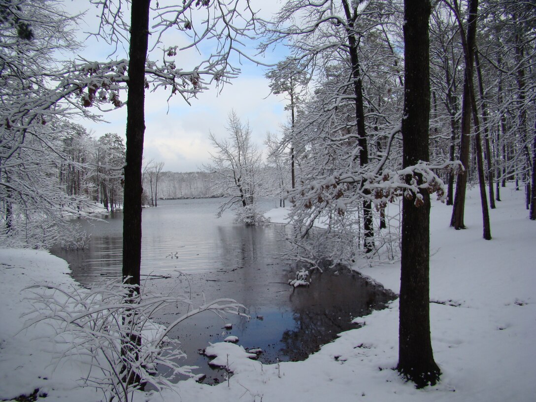 Picture taken several years back of 6" snow at Tompkins Bend, Lake Ouachita