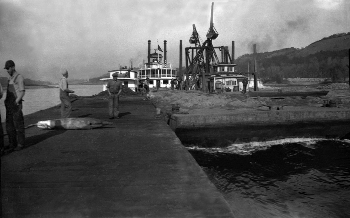 Lock and Dam 8, Genoa, Wisconsin