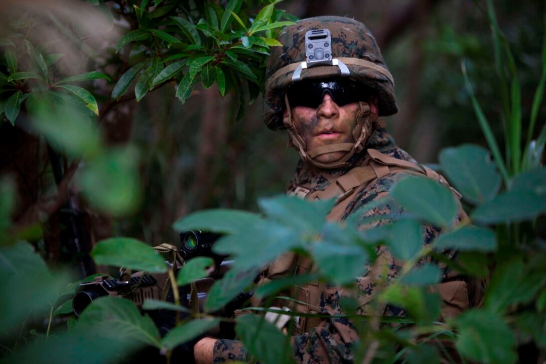 U.S. Marines with Company E, Battalion Landing Team, 2nd Battalion 4th Marines, 31st Marine Expeditionary Unit (MEU), sits still in the middle of a tree line during a vertical assault as part of MEU Exercise (MEUEX), in Combat Town, Okinawa, Japan, Dec 10, 2014. BLT 2/4 is conducting training in preparation of their upcoming spring patrol. (U.S. Marine Corps photo by GySgt Ismael Pena/Released)