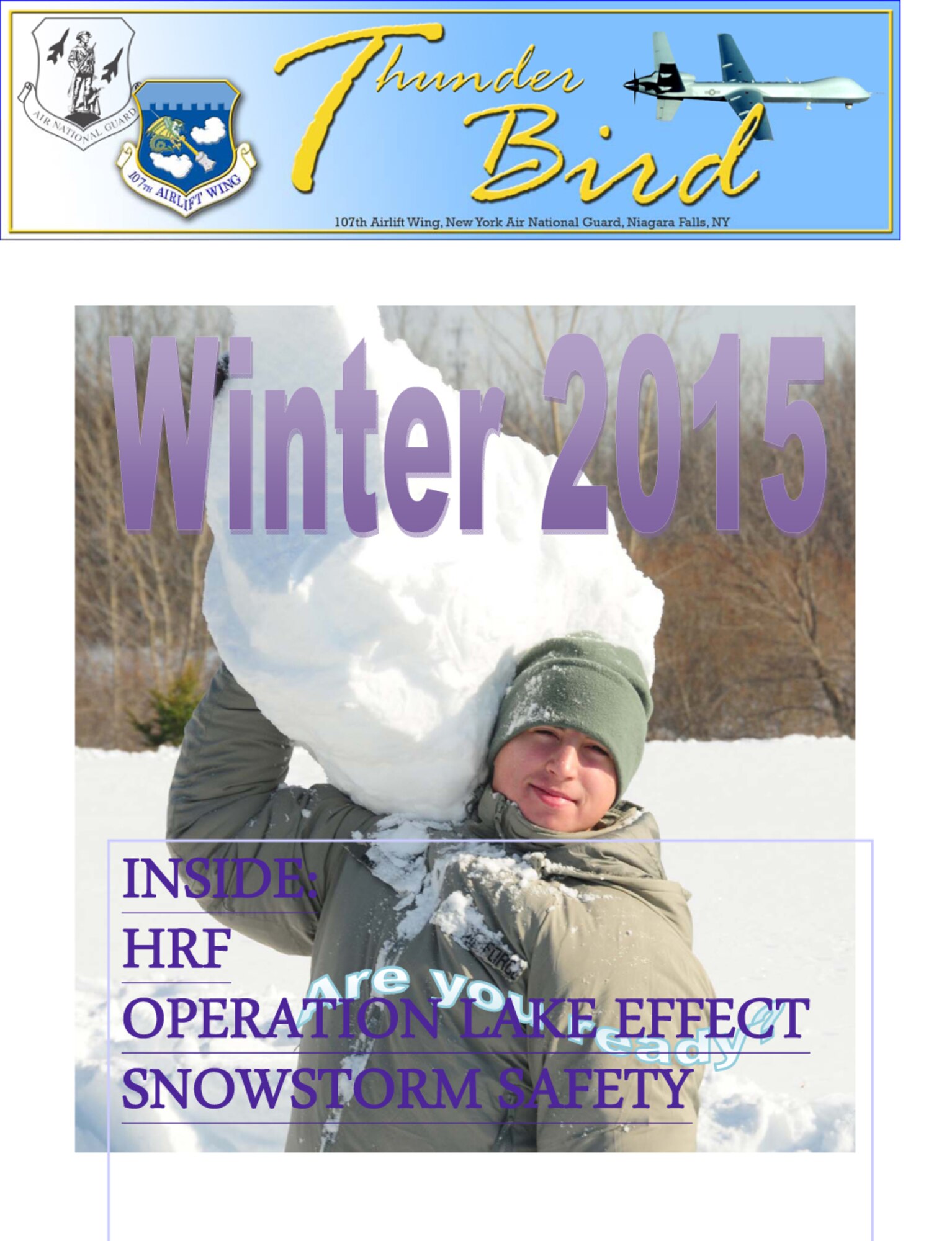 ThunderBird Winter 2015 (U.S.Air National Guard Graphic/107th Public Affairs) 
