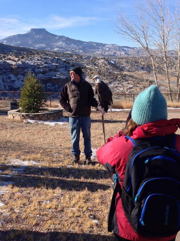 ABIQUIU LAKE, N.M., -- Scott Bol with the New Mexico Wildlife Center presents Maxwell, the center’s non-releasable bald eagle, to the volunteers participating in the Lake’s annual Eagle Watch, Jan. 3, 2015. Staff from the center gave a short presentation about eagles before the official counting began.

