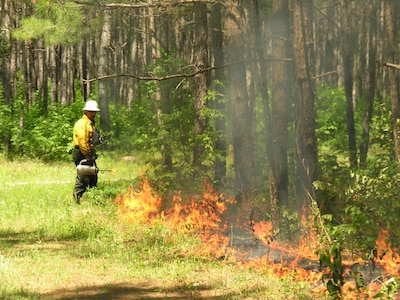 Be prepared to smell some wood smoke around Joint Base Charleston (JB CHS) Weapons Station this winter.  Wood smoke usually indicates that a prescribed fire is being conducted by the Station’s Natural Resources personnel somewhere on the Weapon Station's 11,000 acres of managed timberlands. (Courtesy photo)