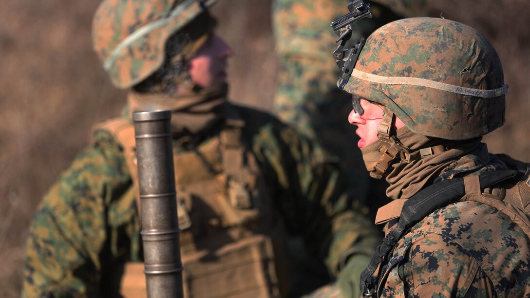 Black Sea Rotational Force Marines with 81mm Mortar Platoon fire high explosive and illumination rounds downrange Jan. 6 at Novo Selo Training Area, Bulgaria. The Marines, with Weapons Co., 2nd Battalion, 2nd Marines, embarked on a week-long training exercise including night-fire and a company sized attack. 