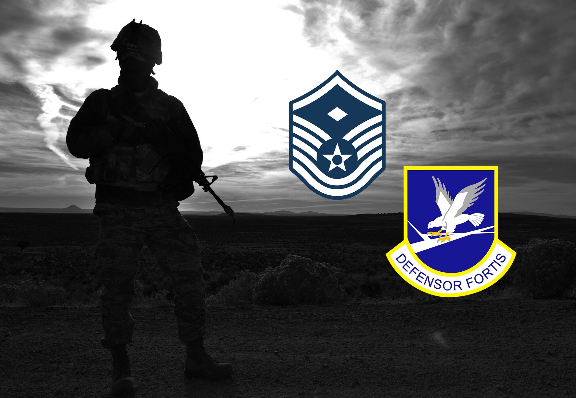920th Security Forces Squadron gets new first sergeant.
