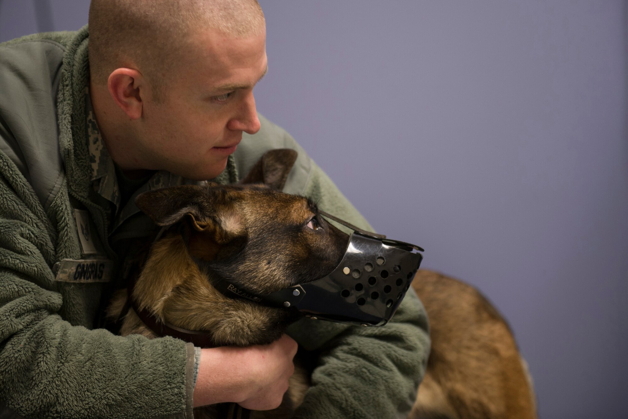 U.S. Air Force Staff Sgt. Paul Gringras, a 354th Security Forces Squadron military working dog handler, comforts Ooger, a 354th SFS military working dog, before going into a dental cleaning at the Veterinarian Treatment Facility on Fort Wainwright, Alaska, Dec. 19, 2014. Ooger wears a muzzle during most of his check-ups to ensure safety for everyone involved. (U.S. Air Force photo by Staff Sgt. Joshua Turner/Released)
