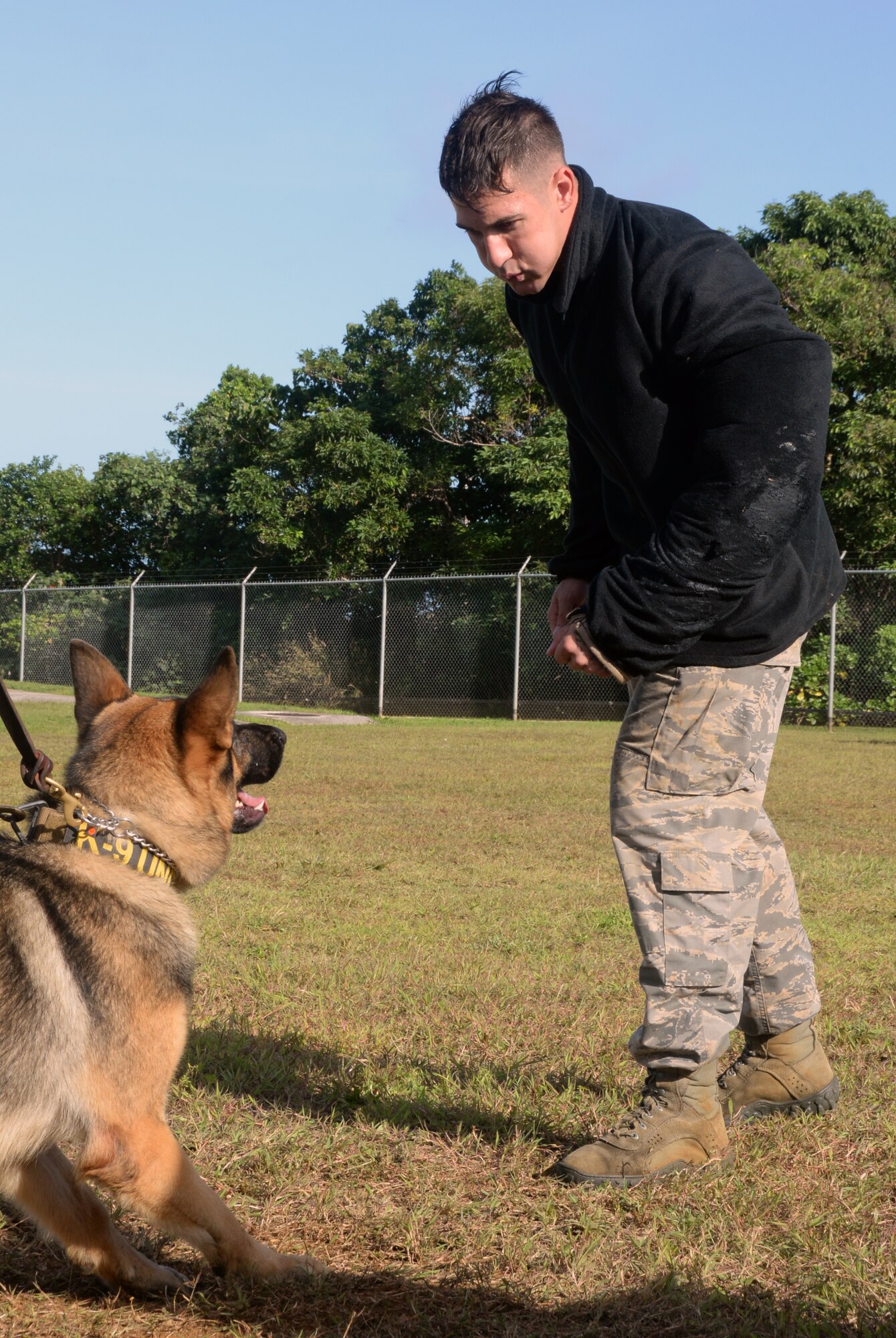 Staff Sgt. Michael Hensley, 36th Security Forces Squadron military working dog handler, challenges Johny, 36th SFS military working dog, during advanced decoy training Dec. 16, 2014, at Andersen Air Force Base, Guam. Hensley is wearing a hidden hard sleeve causing Johny to focus more on the threat and not the standard gear used during training. (U.S. Air Force photo by Senior Airman Amanda Morris/Released)