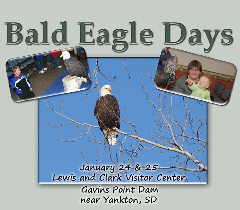 Gavins Point Dam and the Lewis and Clark Visitor Center are hosting Bald Eagle Days on Saturday, January 24 & Sunday, January 25 from 8 a.m. to 4:30 p.m. 
See beautiful bald eagles, participate in hands-on activities, and watch programs with live raptors presented by SOAR Raptors of Dedham, Iowa. There will be special displays, handouts and activities for kids.
The Lewis and Clark Visitor Center is located on Nebraska Hwy 121 near Gavins Point Dam. For more information call: 402-667-2546.
SOAR programs**: Saturday: 9, 11, 1 & 3
Sunday: 9, 11, 1 & 3
All activities are free to attend. 
**SOAR programs are available on a first come, first serve basis. Seating is not guaranteed and reservations are not accepted. Please arrive early as programs fill up fast.
