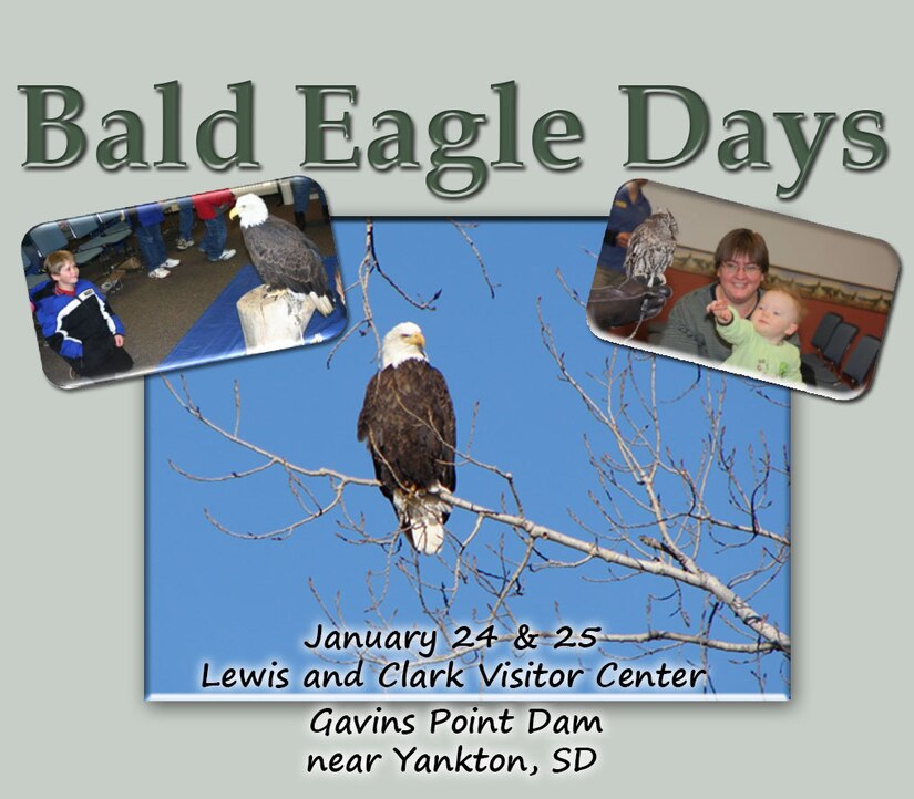 Bald Eagle Days returns to Gavins Point Dam > Omaha District > News