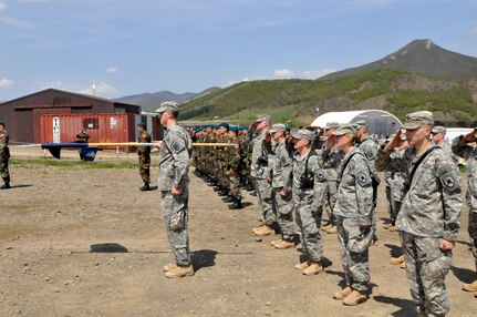 North Dakota National Guard members from Multinational Battle Group East and the Turkish contingent salute the changing of flags during a ceremony April 26, 2010. 