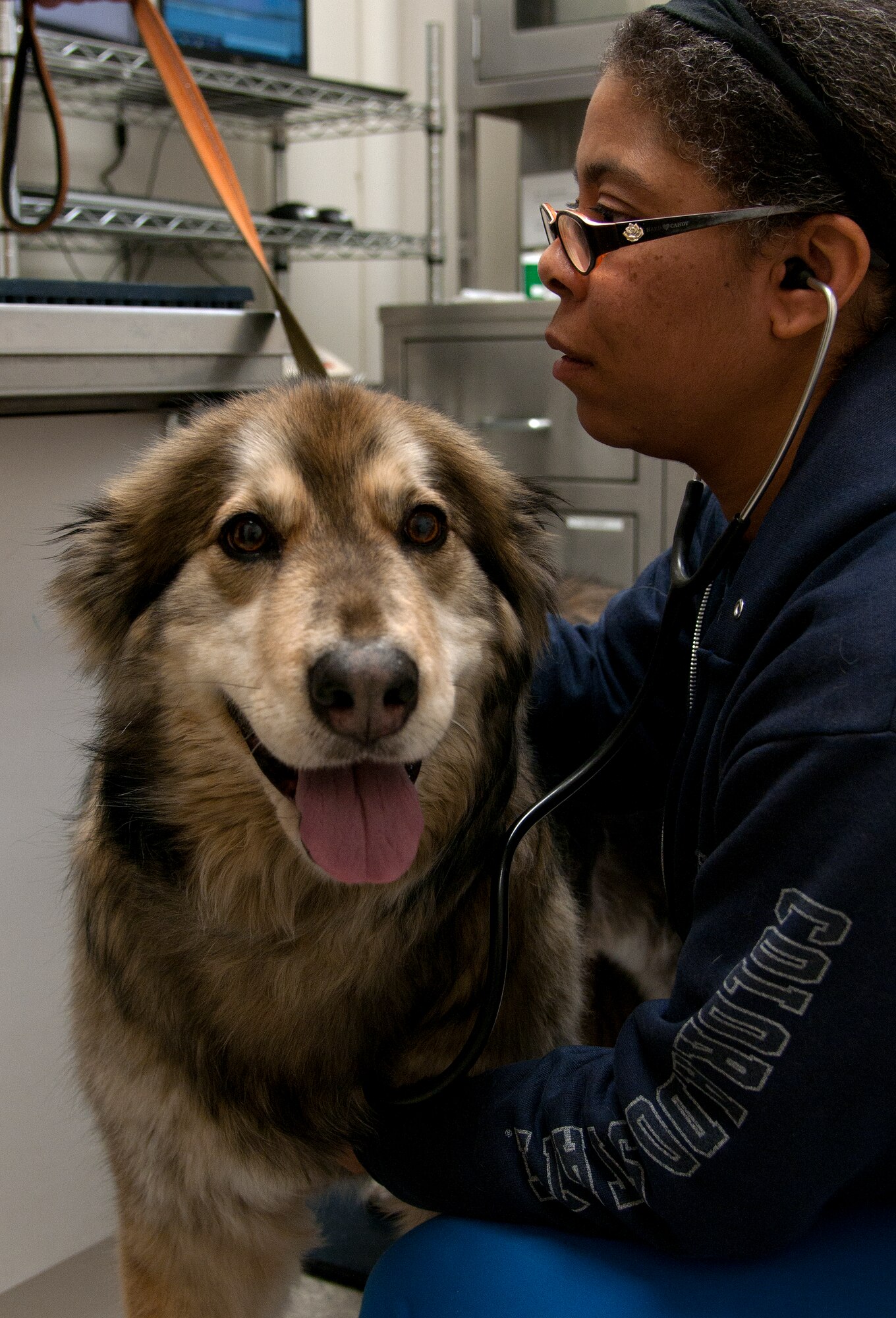 Ceceilia Calbert, U.S. Army Veterinary Treatment Facility technician on F.E. Warren Air Force Base, Wyo., listens to the heartbeat of Kady, a 7 year-old Saint Bernard, during an annual wellness examination Jan. 13, 2015, in the VTF on F.E. Warren Air Force Base, Wyo. Calbert performs similar roles as a nurse, such as checking the vitals of her patients and assisting the veterinarian during any procedure. (U.S. Air Force Photo/Airman 1st Class Brandon Valle)