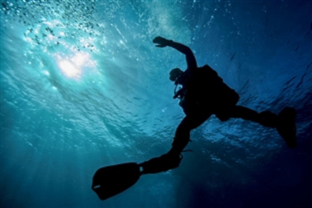 Navy Petty Officer 1st Class Ken Massey dives on a wreck during training on Naval Air Station Key West, Fla. Jan. 13, 2015. The two-week training is an evolution between Underwater Construction Team One and Underwater Construction Team Two. 

