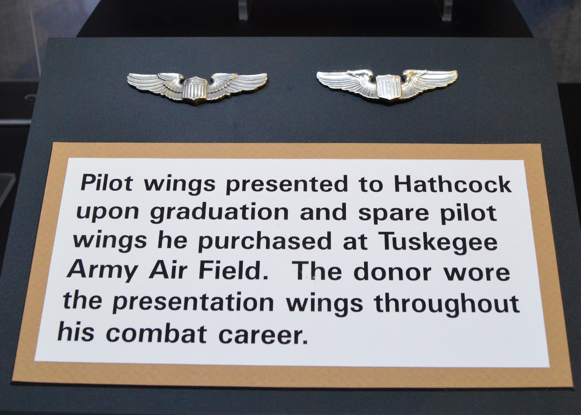 DAYTON, Ohio -- Lt. Hathcock's pilot wings on display in the WWII Gallery at the National Museum of the U.S. Air Force. Captured in Italy during the summer of 1944, Lt. (later Maj.) Lloyd "Scotty" Hathcock spent the rest of the war in Stalag Luft III and Stalag VII-A prison camps. After the war, Hathcock stayed in the service and helped to desegregate the U.S. Air Force. (U.S. Air Force photo)
