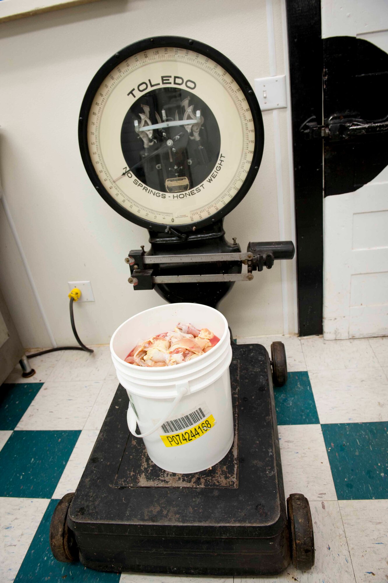 A bucket of turkey is weighed in Minot, N.D., Jan. 16, 2014. Various game was cut and prepared for the 50th annual Sportsmen’s Feed held on Minot Air Force Base. (U.S. Air Force photo/Airman 1st Class Sahara L. Fales)