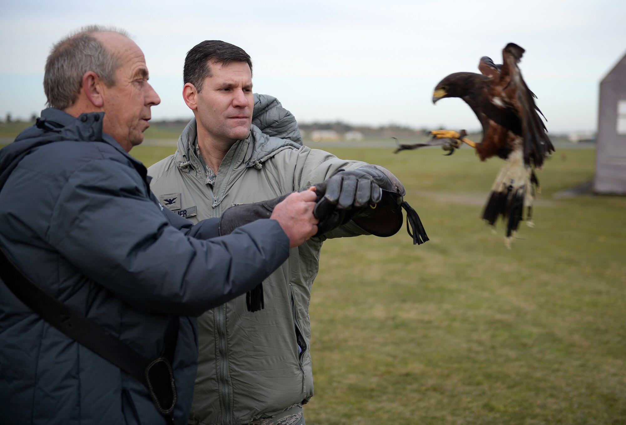 Col. John Devillier, 88th Air Base Wing commander, waits for a Harris Hawk to land on his arm at a birds-of-prey demonstration during an Installation Excellence Selection Board visit on Royal Air Force Lakenheath, England, Jan. 15, 2015. The IESB visited RAF Lakenheath to determine the winner of the Commander in Chief’s Annual Award for Installation Excellence. (U.S. Air Force photo by Staff Sgt. Emerson Nuñez/Released)