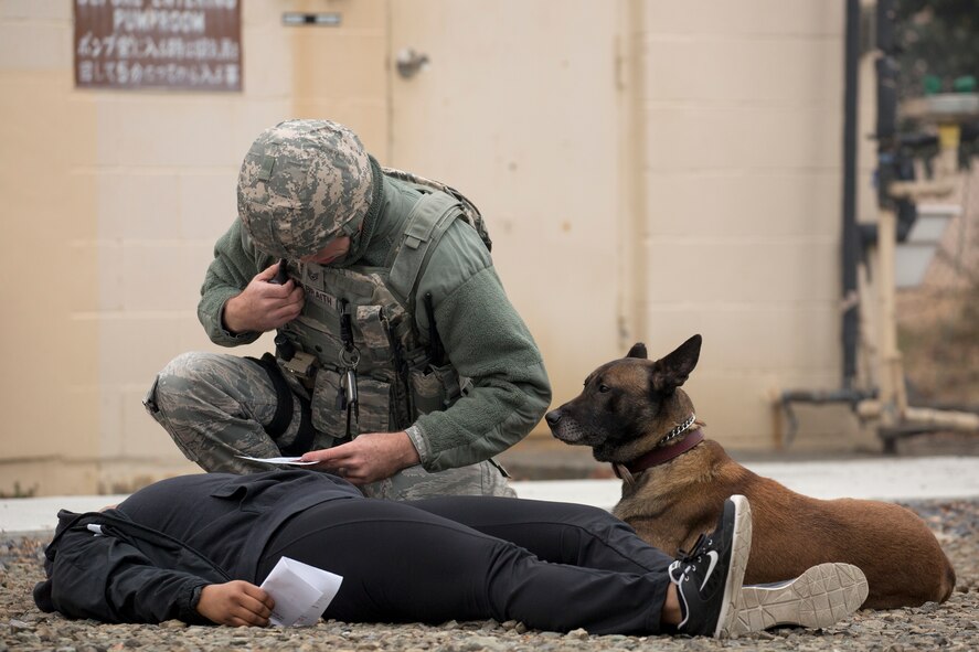 Staff Sgt. Nicholas Galbraith, 374th Security Forces Squadron military working dog handler, and Topa, 374th SFS military working dog, reach a simulated victim at Yokota Air Base, Japan, Jan. 15, 2015, during an Emergency Management Exercise.  (U.S. Air Force photo by Osakabe Yasuo/Released)